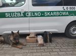 Pies służbowy obok paczek z tytoniem. W tle oznakowany samochód służby celno-skarbowej.